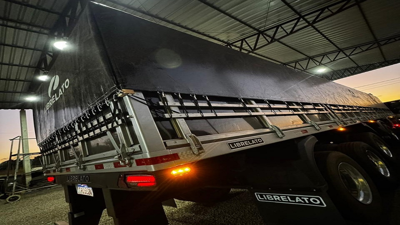 Foto 6lonas-gordo-25.jpeg