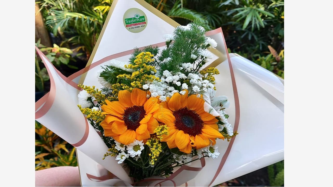 Foto trasformare-1.jpg