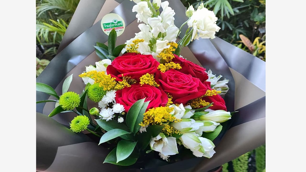 Foto trasformare-4.jpg